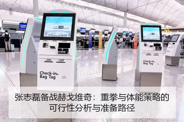 张志磊备战赫戈维奇：重拳与体能策略的可行性分析与准备路径