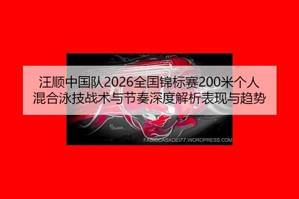 wang-shun-zhong-guo-dui-quan-guo-jin-biao-sai-mi-ge-ren-hun-he-yong-ji-zhan-shu-yu-jie-zou-shen-du-jie-xi-biao-xian-yu-2-784.jpg