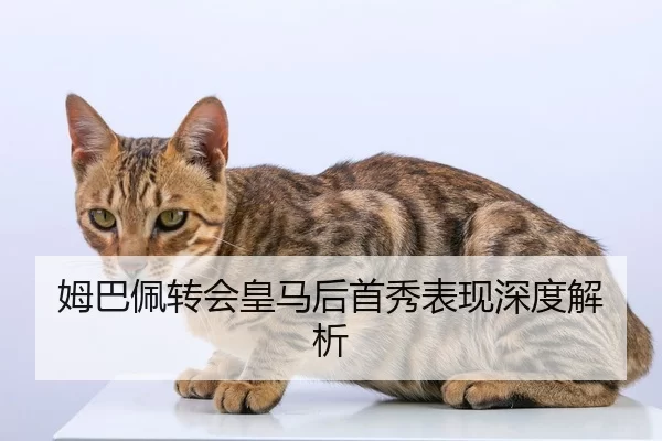 姆巴佩转会皇马后首秀表现深度解析